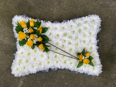 Based cushion tribute
