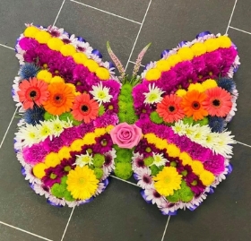 Vibrant butterfly tribute